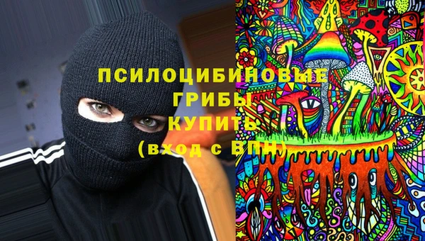 мяу мяу мука Арсеньев