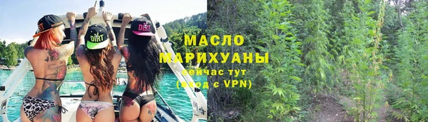 шишки Аркадак
