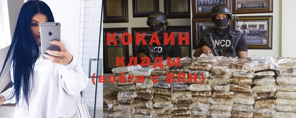 шишки Аркадак