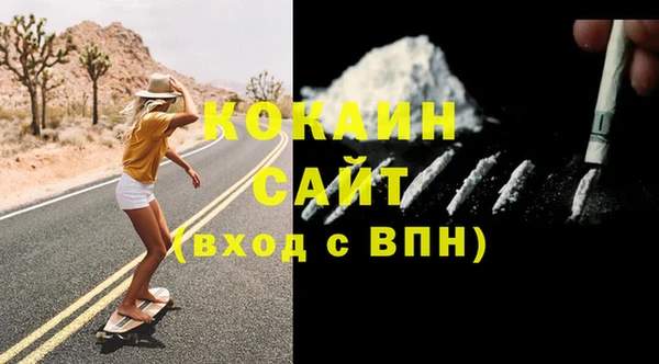 соль ск Алзамай