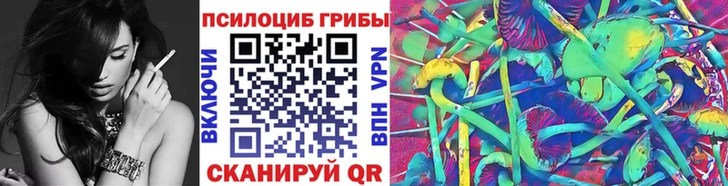 mega tor  Крым  Псилоцибиновые грибы прущие грибы 